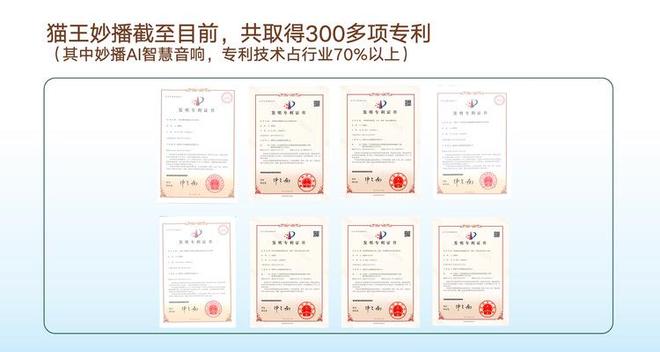 I 智慧音响探索音响下一个时代猫王妙播十周年创新行业首发 A(图5)
